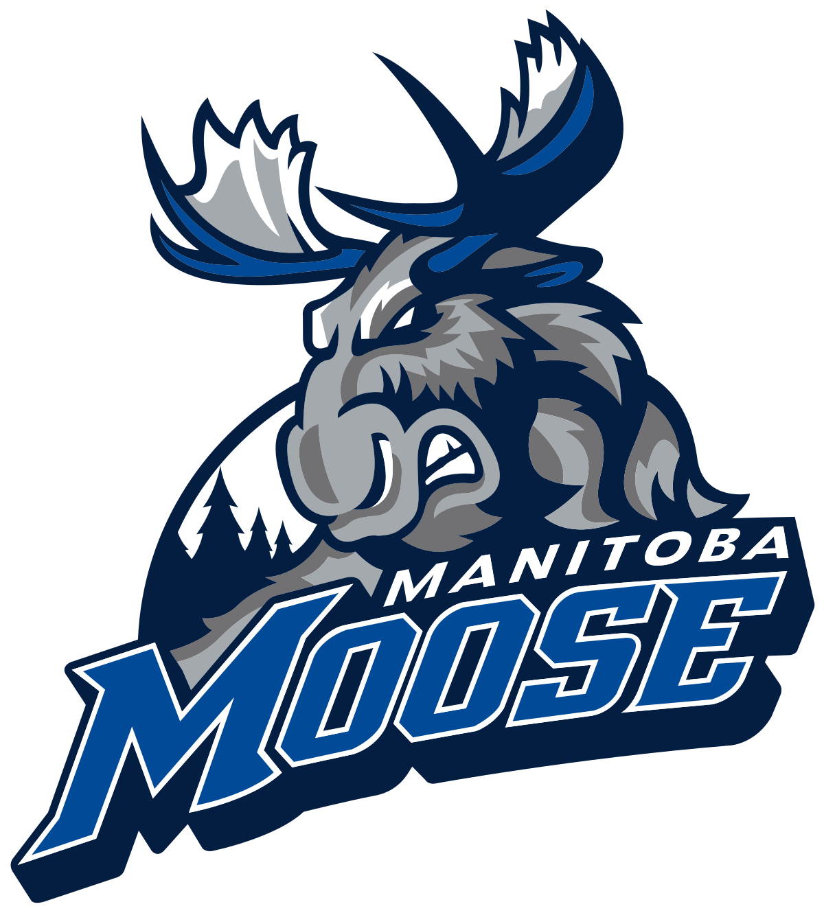 Manitoba Moose