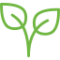 plant plant